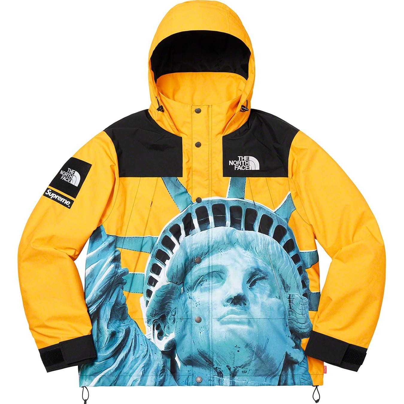 Supreme®/The North Face® Statue of Liberty Mountain Jacket view 13